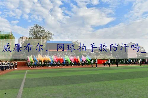 网球拍手胶防汗吗_