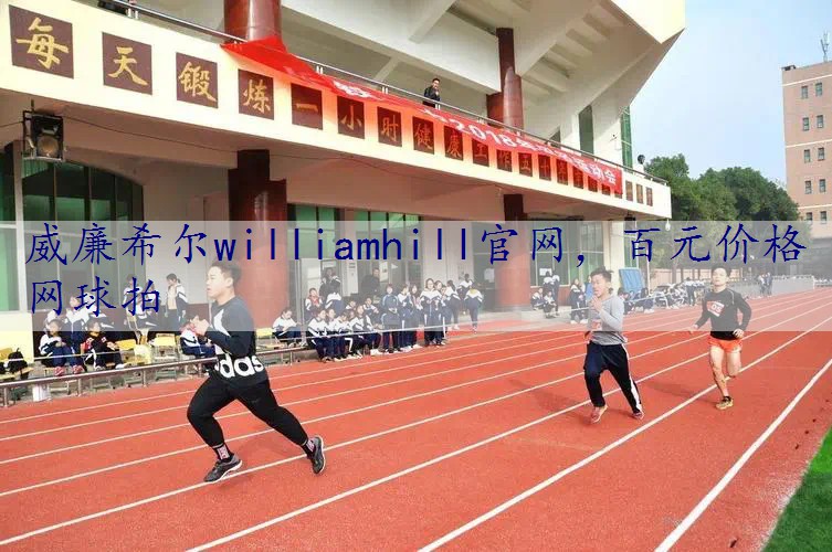 百元价格网球拍