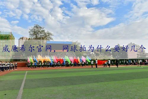网球拍为什么要好几个