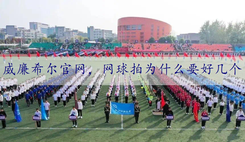 网球拍为什么要好几个