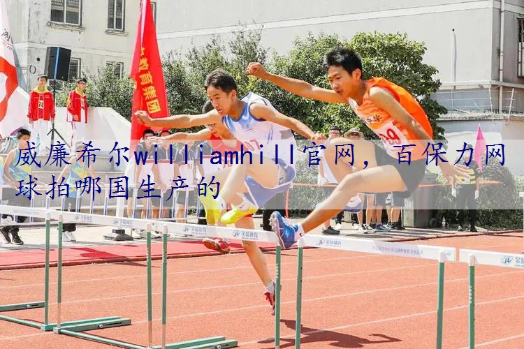 百保力网球拍哪国生产的