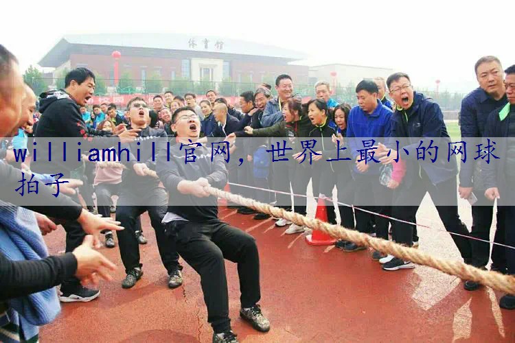 世界上最小的网球拍子