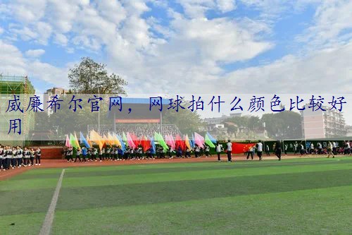 网球拍什么颜色比较好用