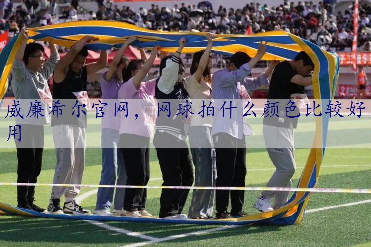 网球拍什么颜色比较好用