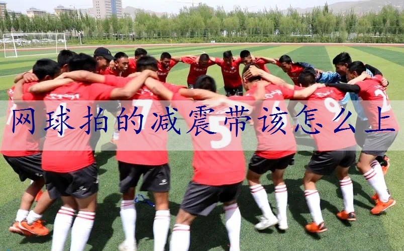 网球拍的减震带该怎么上