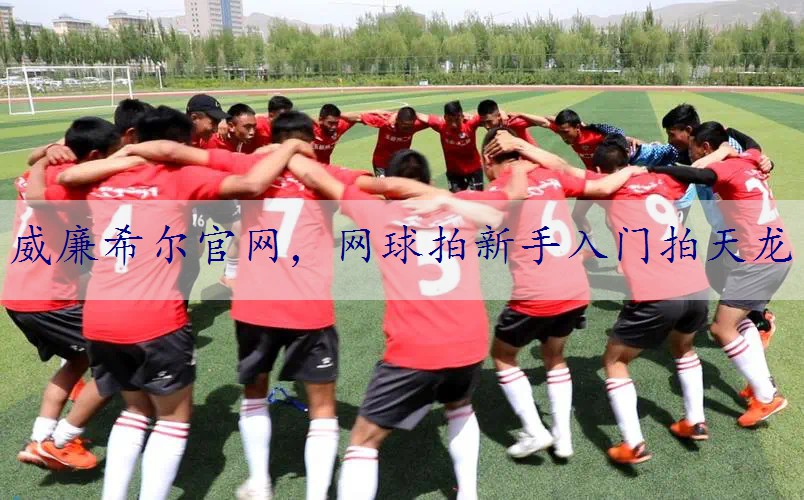 网球拍新手入门拍天龙