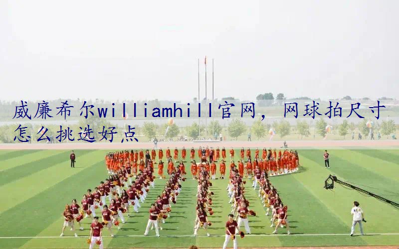网球拍尺寸怎么挑选好点