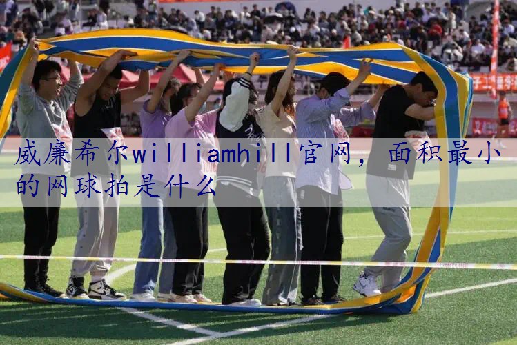 面积最小的网球拍是什么