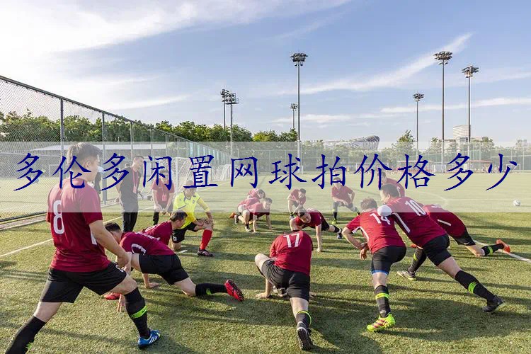 多伦多闲置网球拍价格多少