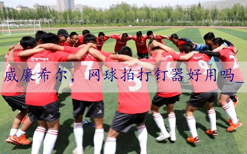 网球拍打钉器好用吗_