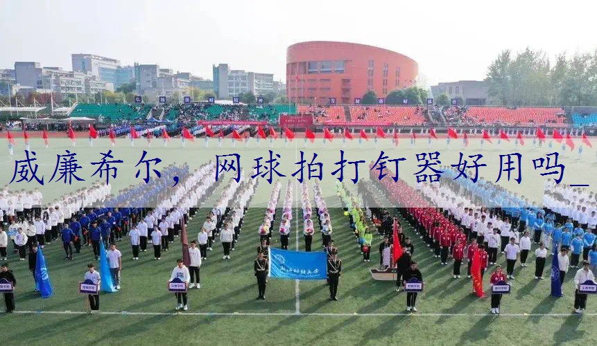 网球拍打钉器好用吗_