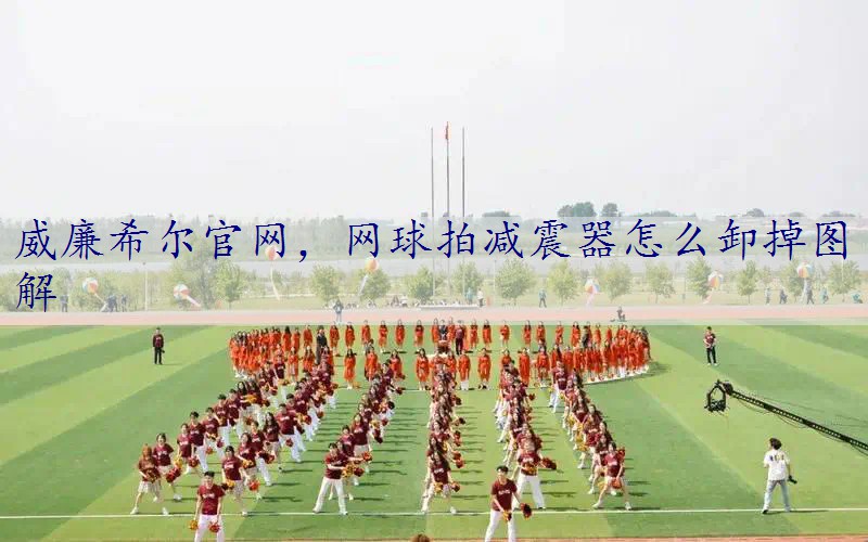 网球拍减震器怎么卸掉图解