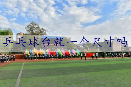 乒乓球台就一个尺寸吗