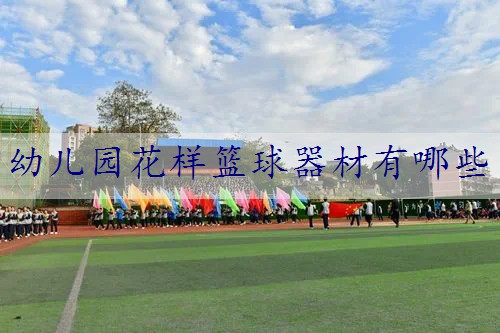 幼儿园花样篮球器材有哪些